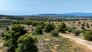 Αγροτεμάχια 25.800 τ.μ. για πώληση, Αργολίδα, Κρανίδι-thumb-5