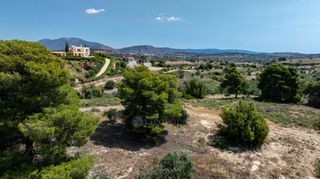 Αγροτεμάχια 25.800 τ.μ. για πώληση, Αργολίδα, Κρανίδι-thumb-22