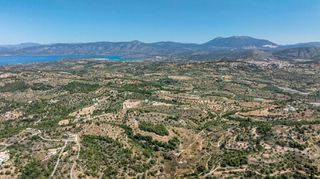 Αγροτεμάχια 25.800 τ.μ. για πώληση, Αργολίδα, Κρανίδι-thumb-16
