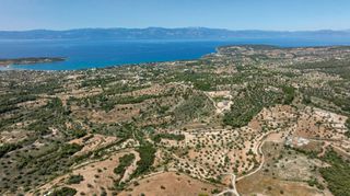 Αγροτεμάχια 25.800 τ.μ. για πώληση, Αργολίδα, Κρανίδι-thumb-6