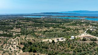 Αγροτεμάχια 25.800 τ.μ. για πώληση