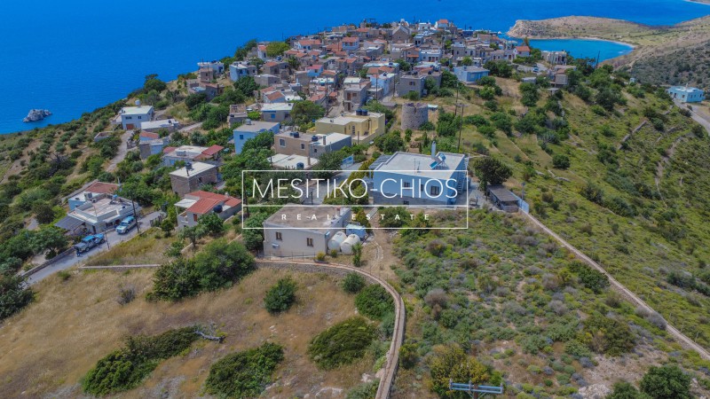Μονοκατοικία 303 τ.μ. πρός πώληση, Ν. Χίου, Χίος