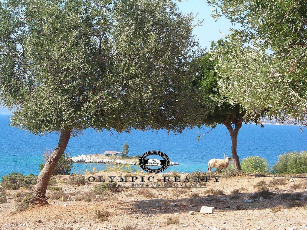 Οικόπεδο 335.000 τ.μ. πρός πώληση, Αιτωλοακαρνανία, Αστακός