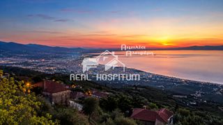 Οικόπεδο 12.500 τ.μ. για πώληση