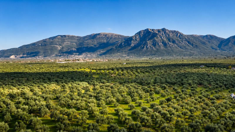Αγροτεμάχια 47.000 τ.μ. προς πώληση, Κέντρο Φιλιατρών