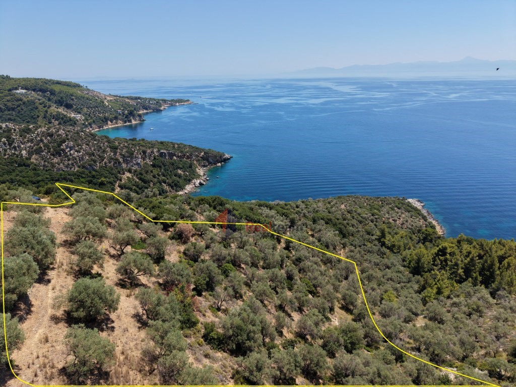 Αγροτεμάχια 6.048 τ.μ. προς πώληση, Χώρα Αλοννήσου