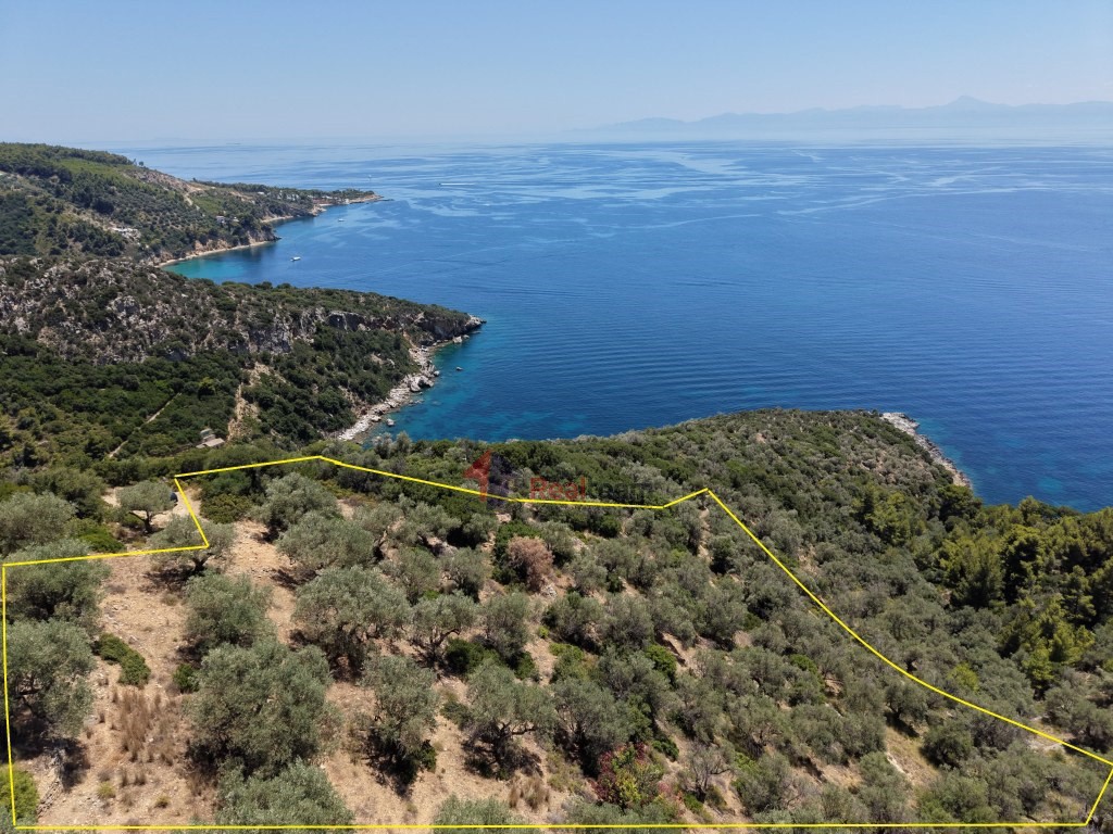 Αγροτεμάχια 6.048 τ.μ. προς πώληση, Χώρα Αλοννήσου