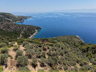 Αγροτεμάχια 6.048 τ.μ. για πώληση