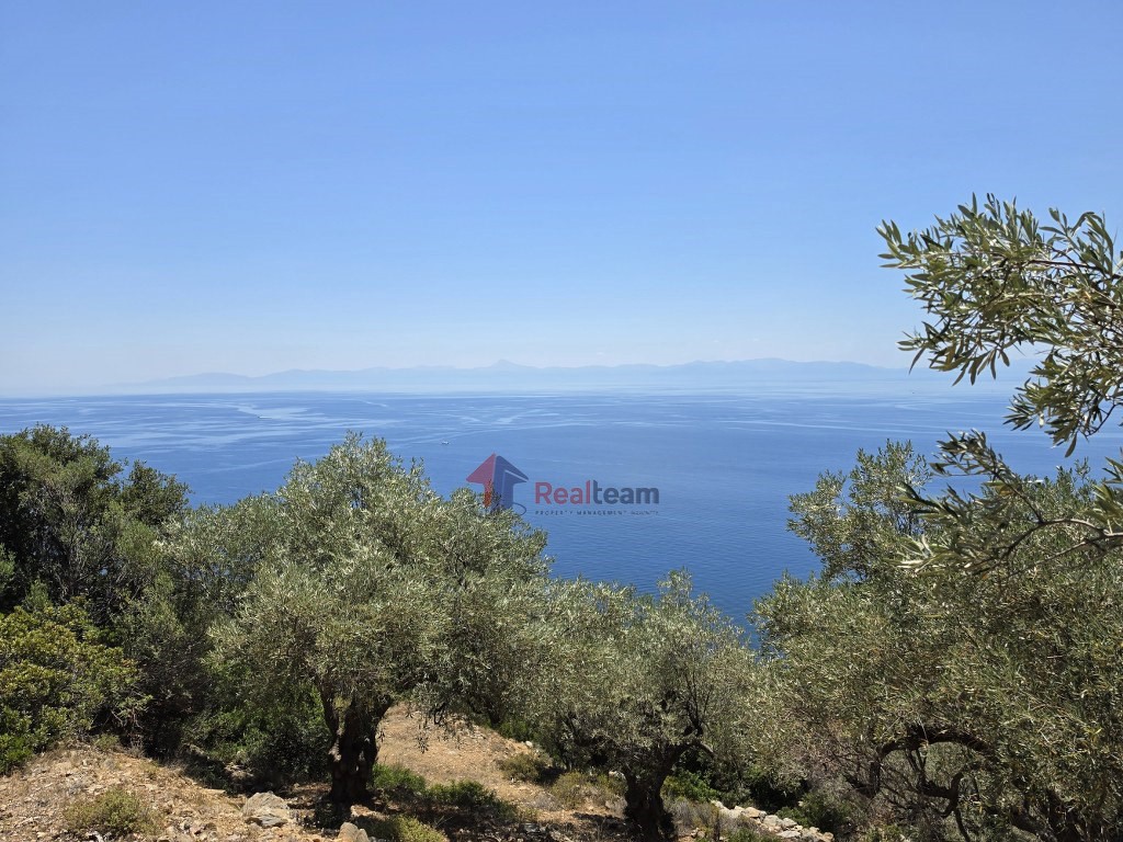 Αγροτεμάχια 6.048 τ.μ. προς πώληση, Χώρα Αλοννήσου