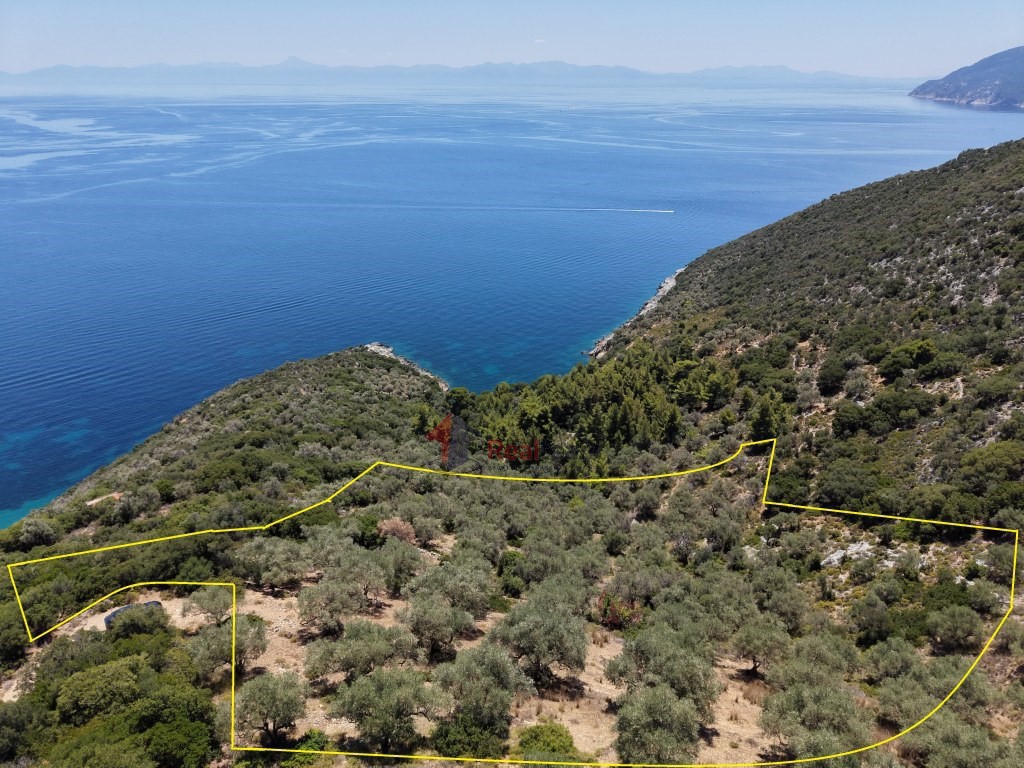 Αγροτεμάχια 6.048 τ.μ. προς πώληση, Χώρα Αλοννήσου
