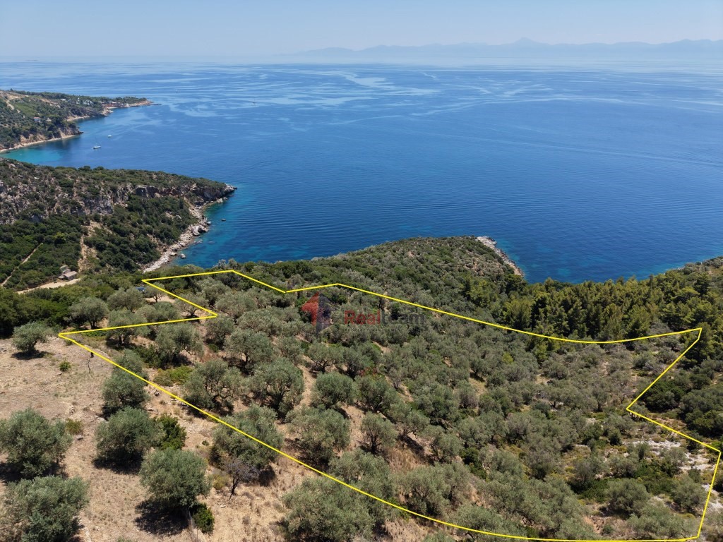 Αγροτεμάχια 6.048 τ.μ. προς πώληση, Χώρα Αλοννήσου