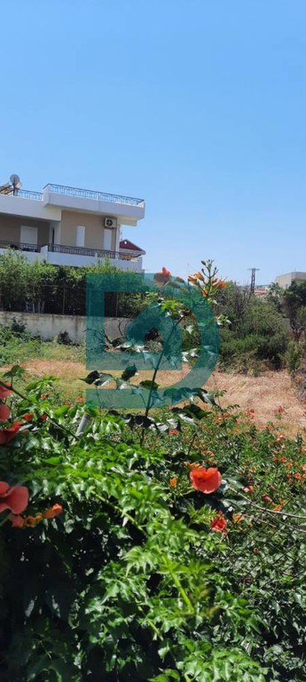 Οικόπεδο 343 τ.μ. πρός πώληση, Ν. Λασιθίου, Σητεία