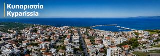 Οικόπεδο 99.000 τ.μ. για πώληση, Μεσσηνία, Φιλιατρά-thumb-20