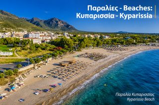 Οικόπεδο 99.000 τ.μ. για πώληση, Μεσσηνία, Φιλιατρά-thumb-13