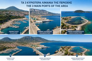 Οικόπεδο 99.000 τ.μ. για πώληση, Μεσσηνία, Φιλιατρά-thumb-16