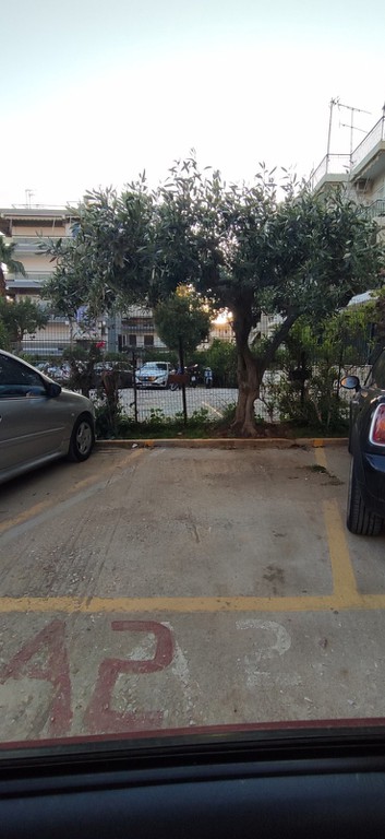 Διαμέρισμα 78 τ.μ. πρός πώληση, Αθήνα - Νότια Προάστια, Αργυρούπολη