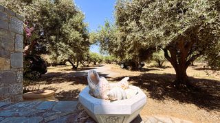 Κατοικία 152 τ.μ. πρός πώληση, Ν. Λασιθίου, Βραχάσι-thumb-23
