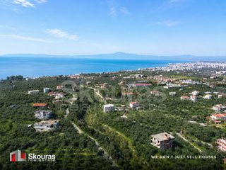 Μονοκατοικία 210 τ.μ. για πώληση, Μεσσηνία, Καλαμάτα-thumb-23