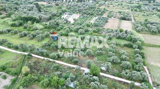 Αγροτεμάχια 4.600 τ.μ. για πώληση, Ν. Λευκάδας, Λευκάδα-thumb-2