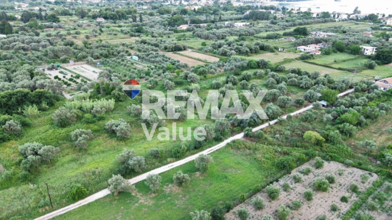 Αγροτεμάχια 4.600 τ.μ. προς πώληση, Απολλώνιο