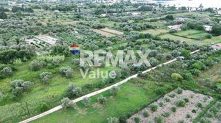 Αγροτεμάχια 4.600 τ.μ. για πώληση, Ν. Λευκάδας, Λευκάδα-thumb-3