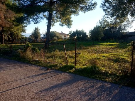 Αγροτεμάχια 825 τ.μ. προς πώληση