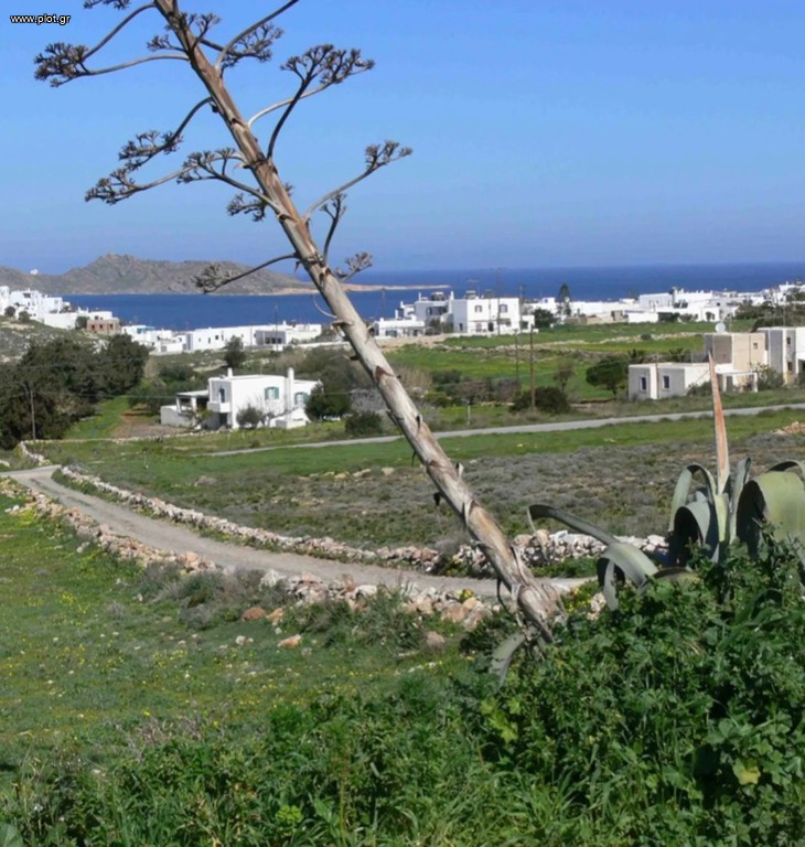 Οικόπεδο 6.900 τ.μ. για πώληση, Κυκλάδες, Πάρος