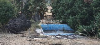 Ξενοδοχείο 708 τ.μ. προς πώληση, Καλλιθέα Κασσάνδρας-thumb-9