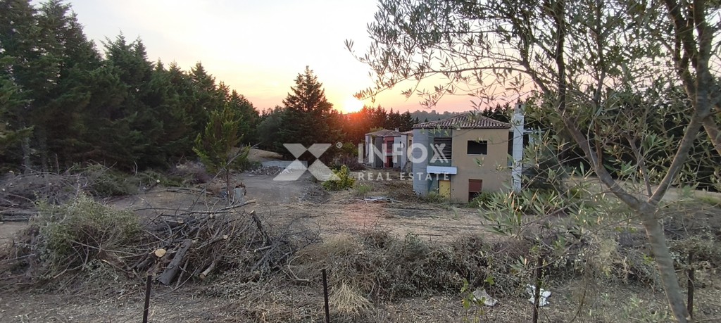 Ξενοδοχείο 708 τ.μ. προς πώληση, Καλλιθέα Κασσάνδρας
