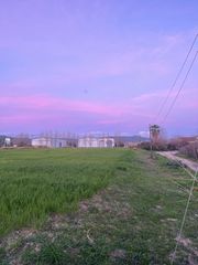 Οικόπεδο 10.000 τ.μ. προς πώληση, Συντριάδα-thumb-5