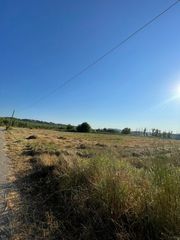 Οικόπεδο 10.000 τ.μ. προς πώληση, Συντριάδα-thumb-7