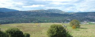 Αγροτεμάχια 5.300 τ.μ. για πώληση
