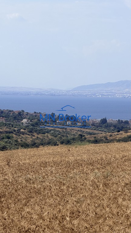 Αγροτεμάχια 15.000 τ.μ. πρός πώληση, Θεσσαλονίκη - Περιφ/Κοί Δήμοι, Μίκρα