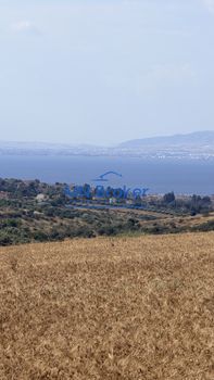 Αγροτεμάχια 15.000 τ.μ. προς πώληση