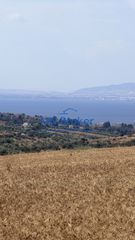 Αγροτεμάχια 15.000 τ.μ. προς πώληση