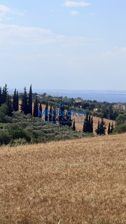 Αγροτεμάχια 15.000 τ.μ. πρός πώληση, Θεσσαλονίκη - Περιφ/Κοί Δήμοι, Μίκρα