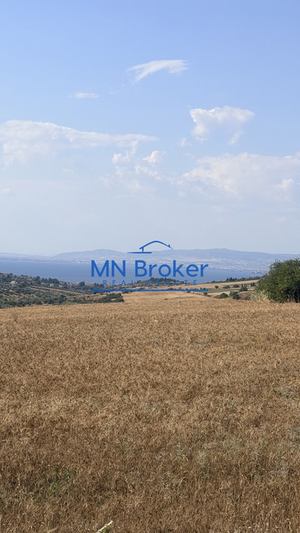Αγροτεμάχια 15.000 τ.μ. πρός πώληση, Θεσσαλονίκη - Περιφ/Κοί Δήμοι, Μίκρα