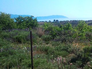 Οικόπεδο 821 τ.μ. για πώληση