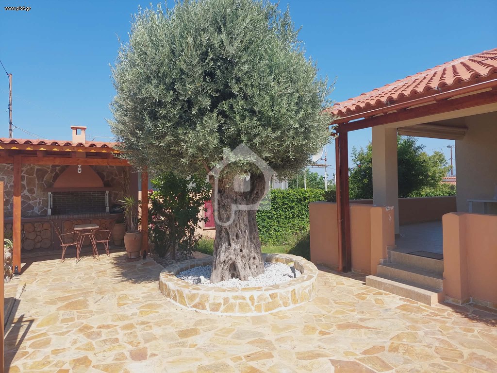 Μονοκατοικία 55 τ.μ. προς ενοικίαση, Λιμνιώνας Καλάμου