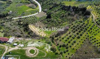 Αγροτεμάχια 4.581 τ.μ. για πώληση