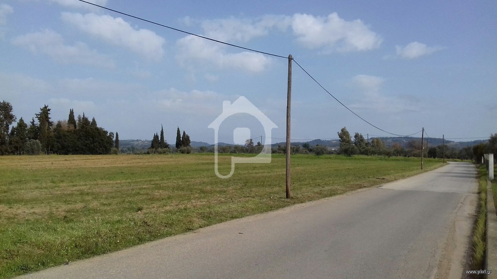 Αγροτεμάχια 11.400 τ.μ. πρός πώληση, Ν. Ηλείας, Αμαλιάδα