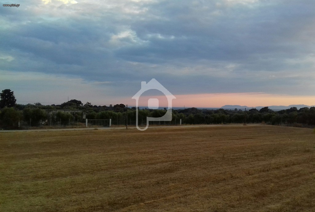 Αγροτεμάχια 11.400 τ.μ. πρός πώληση, Ν. Ηλείας, Αμαλιάδα