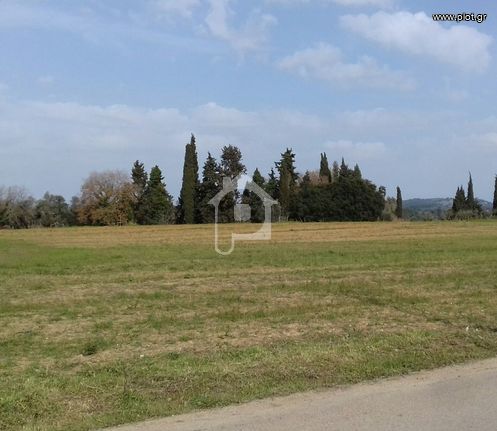 Αγροτεμάχια 11.400 τ.μ. για πώληση, Ν. Ηλείας, Αμαλιάδα