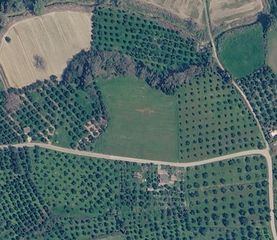 Αγροτεμάχια 11.400 τ.μ. για πώληση, Ν. Ηλείας, Αμαλιάδα-thumb-6