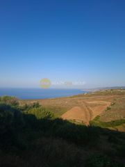 Άλλο 110 τ.μ. για πώληση, Κυκλάδες, Άνδρος-thumb-13