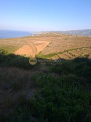 Άλλο 110 τ.μ. για πώληση, Κυκλάδες, Άνδρος-thumb-16