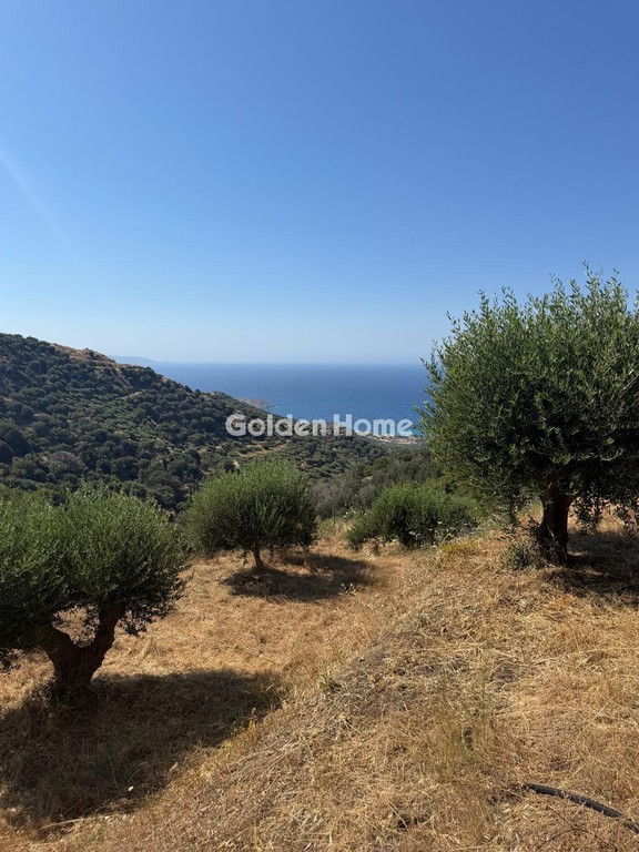 Οικόπεδο 1.095 τ.μ. για πώληση, Ν. Λασιθίου, Σητεία