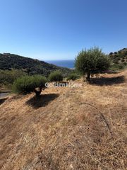 Οικόπεδο 1.095 τ.μ. για πώληση, Ν. Λασιθίου, Σητεία-thumb-2