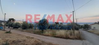 Οικόπεδο 756 τ.μ. για πώληση, Εύβοια, Ληλάντιο-thumb-1