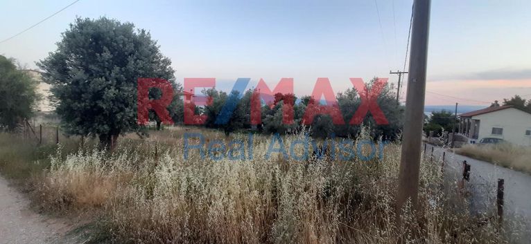 Οικόπεδο 756 τ.μ. για πώληση, Εύβοια, Ληλάντιο